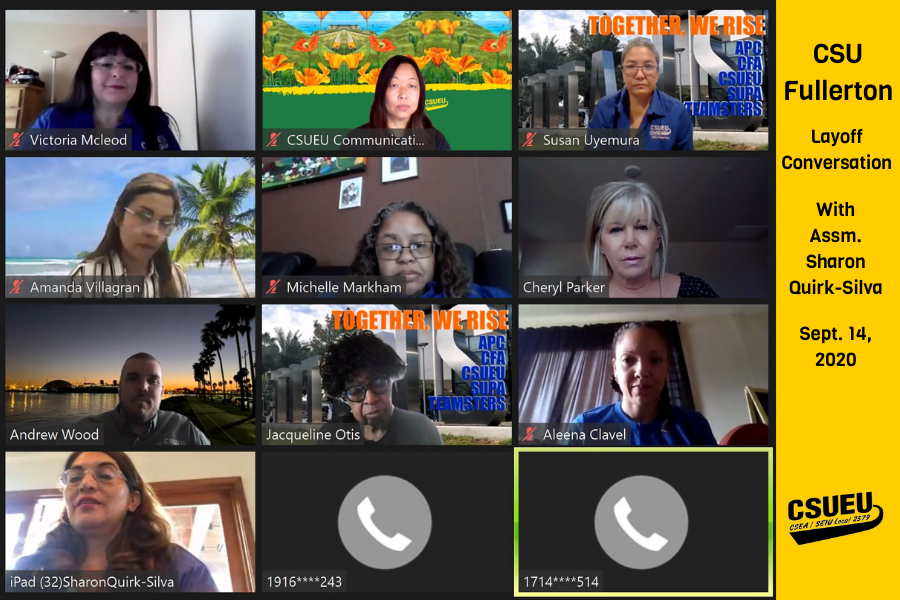 CSUF Zoom 900_600.png